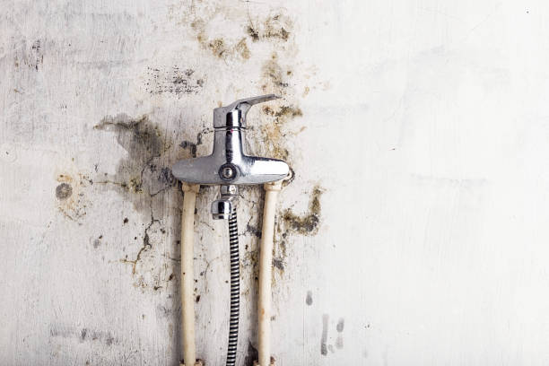 Water Damage Restoration in Kerman, CA