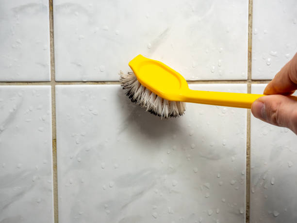 Best Emergency Mold Removal  in Kerman, CA