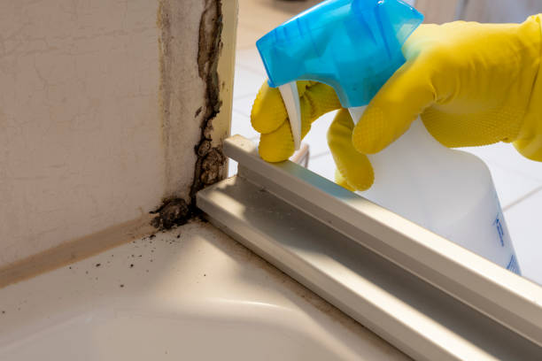 Best Black Mold Removal  in Kerman, CA