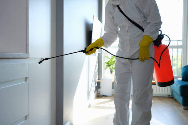 Best Toxic Mold Removal  in Kerman, CA