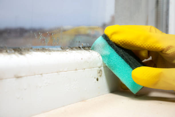 Best Black Mold Removal  in Kerman, CA