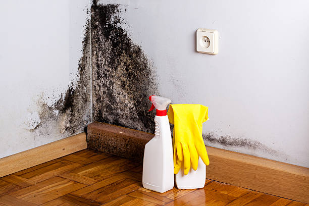 Best Emergency Mold Removal  in Kerman, CA