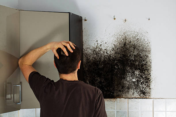 Best Commercial Mold Removal  in Kerman, CA