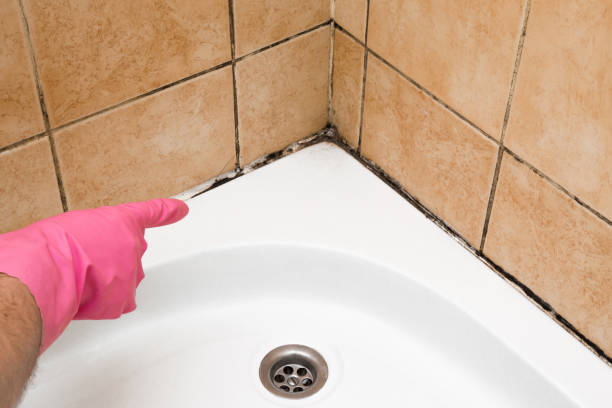 Best Mold Remediation  in Kerman, CA